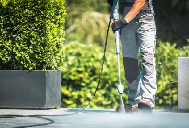 Best Patio and Deck Pressure Washing  in Wild Peach Village, TX